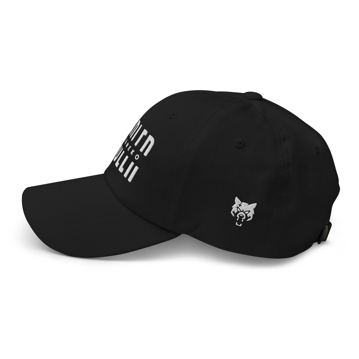 DORANEKO COLLAB ORIGINAL DESIGN | Classic Dad hat  | 刺繍ロゴ 6colors